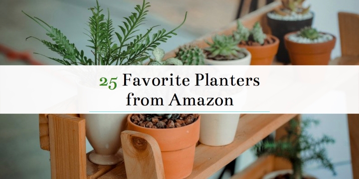 Planters are such a fun way to add personality and character to your plants around the home. Planters are also a home decor staple, and there are some that look very chic! I've put together this list of my favorite planters from Amazon. They have the best selection of planters. From fancy sophisticated to more silly planters, this list has it all! #plants #garden #planters #homedecor #home #decor #gardening #fun #plant #Amazon #affiliate