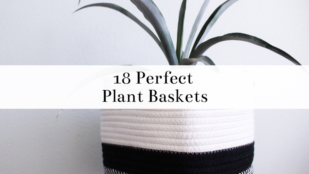 10 Perfect Plant Baskets from Amazon